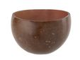 Coconut Bowl Bruin-zalm 35-50cl Polished