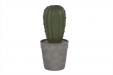 Cactus Groen In Grijze Pot D12xh26cm Resine