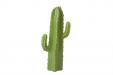 Cactus 13x10x30cm Groen Keramiek 