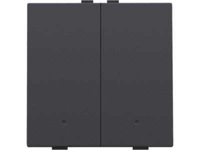 Tweevoudige drukknop met led voor Niko Home Control, anthracite