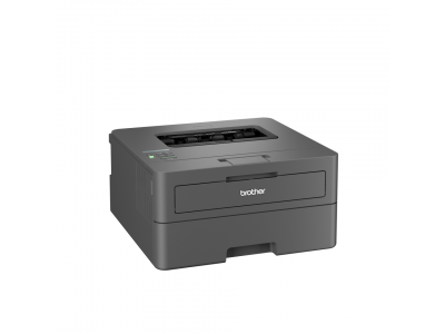 Brother laser printer HL-L2400DWE