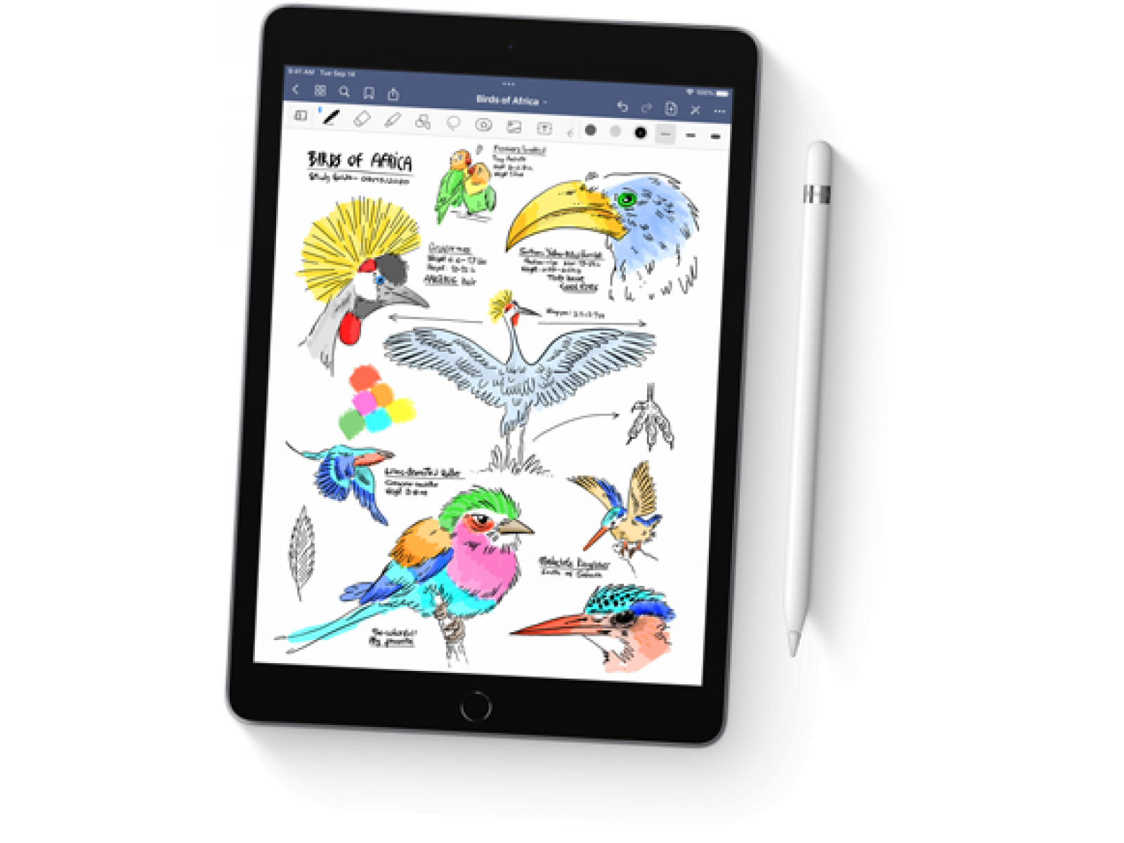 image product