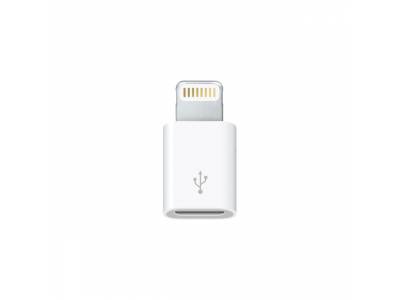 Lightning to Micro USB Adapter (MD820ZM/A)