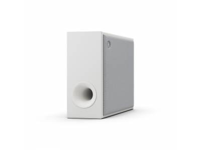 Subwoofer TRUE X SUB 100A SW-X100A Carbon Grey