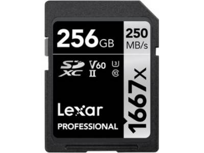 SDXC Professional UHS-II 1667x 256GB
