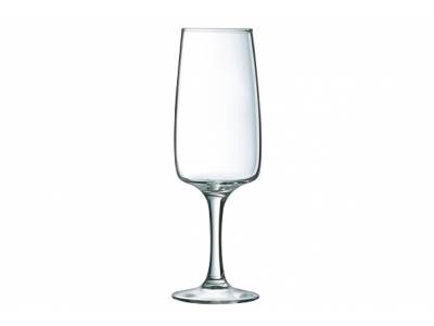 Equip Home Verre A Champagne 17cl 