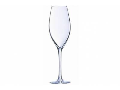 FELICITY CHAMPAGNEGLAS S3 22CL