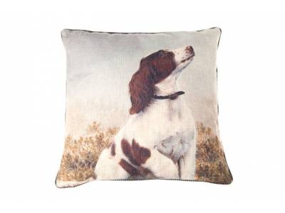 Coussin Beige Carré 45x45xh0 With Dog Pr Int