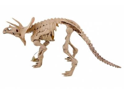 Skelet Dinosaurus Animation 58x17xh25cm Plastiek Incl 3 Lr44 Batt