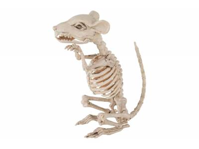 Muis Skeleton Natuur 9x28xh33cm 