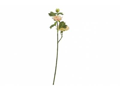 Branche Ranunculus Saumon 13x13xh43cm Pl Astic