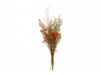 Boeket Dried Flowers Oranje 27x13xh60cm 
