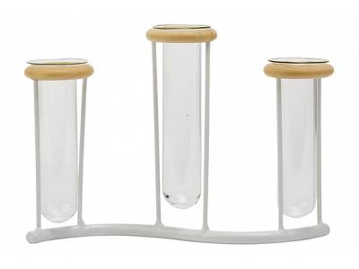 Houder 3x Glass Tube 3,5x10-12cm Wit 19x 4,5xh13,5cm Langwerpig Metaal