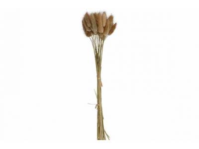 Boeket Cat Tails Natuur 10x10xh60cm Kraft Paper Bag