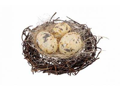 Nest 3 Eggs Natuur D10cm 