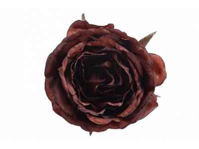 Clip Rose Bruin 9x9xh5cm Kunststof 