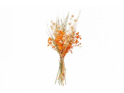 Boeket Dried Flowers Oranje H20cm 