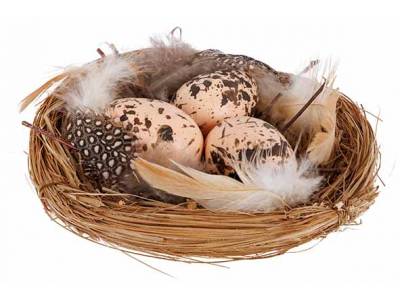 Nest With Eggs Natuur 12x12xh4cm 