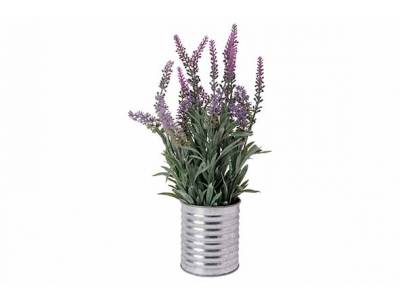 Lavendel In Pot Lila 15x15xh33cm 