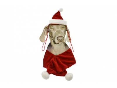 Kerstpakje Voor Hond Muts+sjaal 