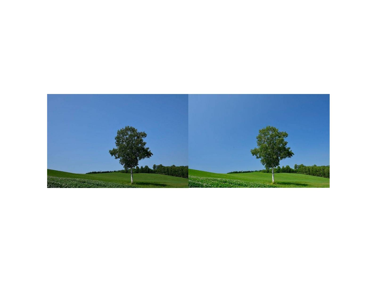 image product