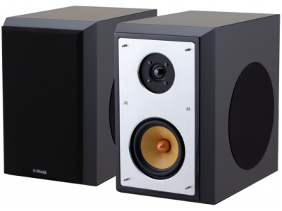 S-100 speaker black (pair)