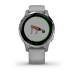 Garmin Smartwatch Vívoactive 4S Powder Gray/Silver Garmin Smartwatch Vívoactive 4S Powder Gray/Silver