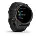 Garmin Venu 2 GPS Wi-Fi Black/Slate