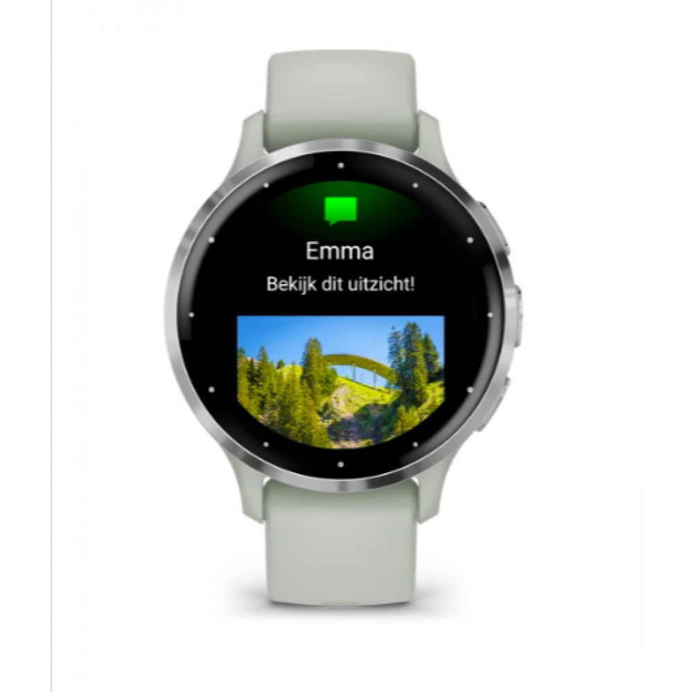Garmin Smartwatch Venu 3S Sage Gray + Passivat