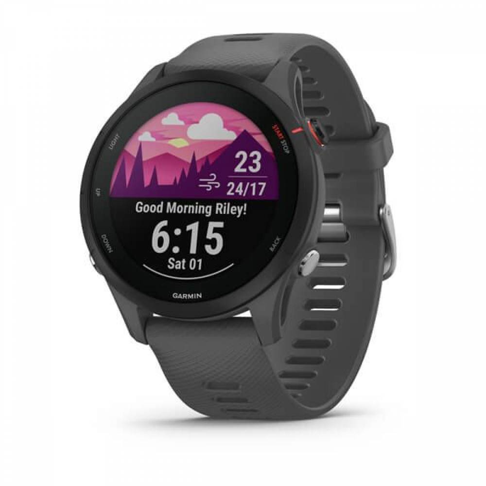 Garmin forerunner 255 slate grey 