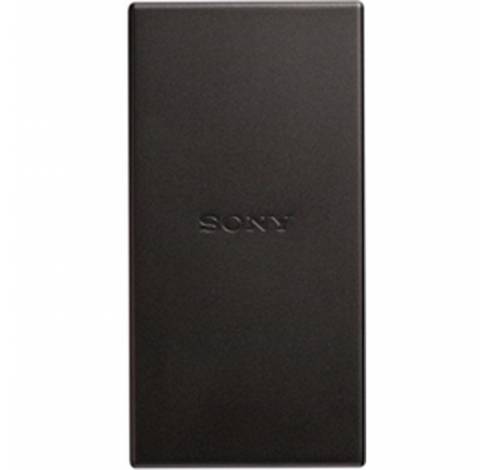 Power Bank For Type C 2 Ports 6A Gold  Sony