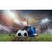 Bravia XR-55A90J Sony Bravia XR-55A90J Sony