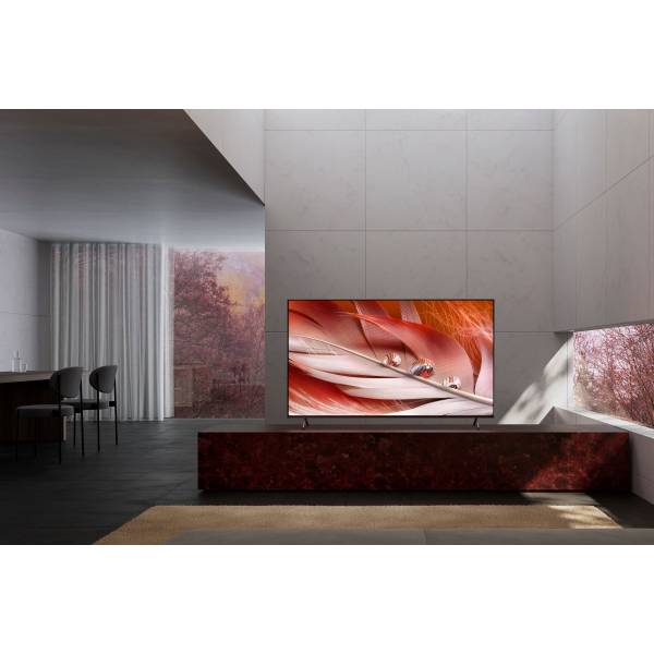 Bravia XR-55X90J Sony Bravia XR-55X90J Sony