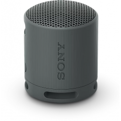 Sony RSXB100D.CE7 Draagbare luidspreker Zwart