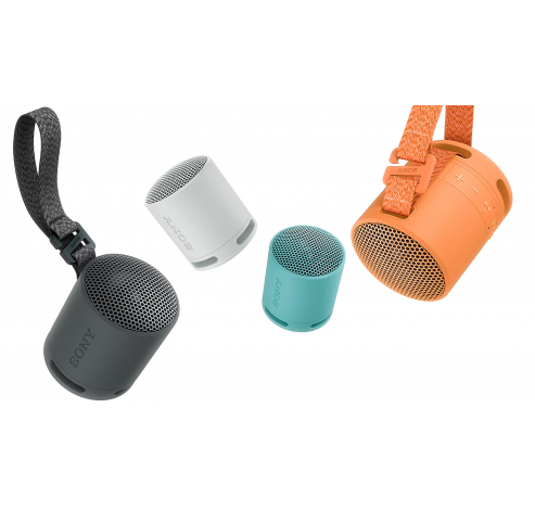 RSXB100D.CE7 Draagbare luidspreker Zwart  Sony