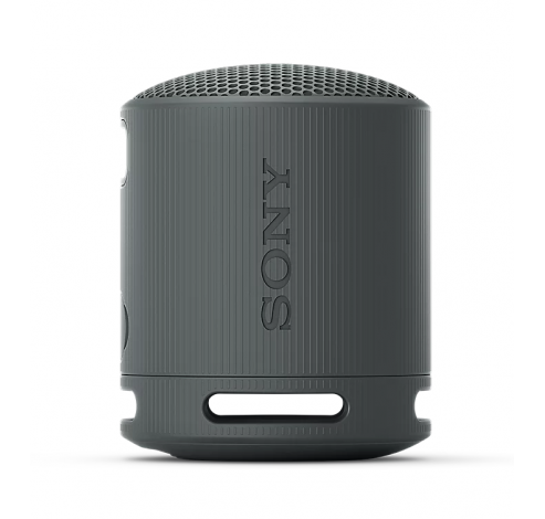 RSXB100D.CE7 Draagbare luidspreker Zwart  Sony