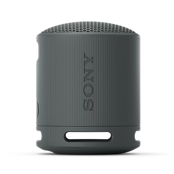 Sony RSXB100D.CE7 Draagbare luidspreker Zwart