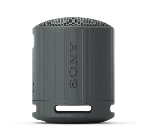 RSXB100D.CE7 Draagbare luidspreker Grijs  Sony