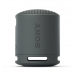 Sony RSXB100D.CE7 Draagbare luidspreker Grijs