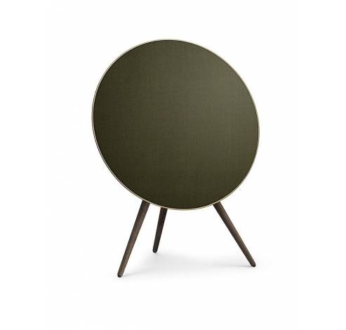 BeoPlay A9 Infantry Green  