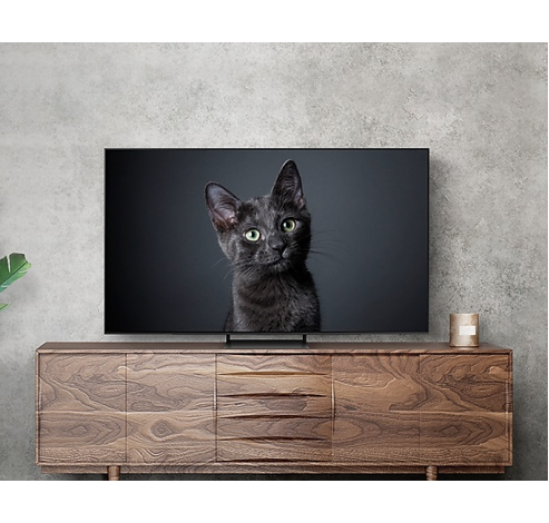 77inch OLED 4K Smart TV S93C (2023)   Samsung
