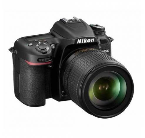 D7500 + 18-105mm VR  Nikon
