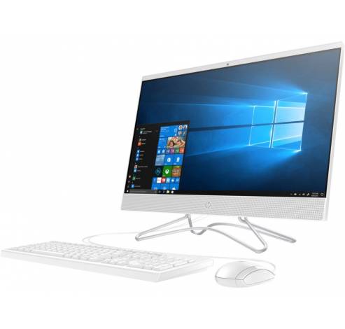 All-in-One 24-f0203nb  HP