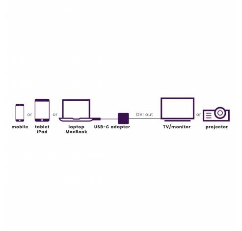 Connect USB-C > DVI  Marmitek