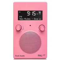 radio pal + bt rose 