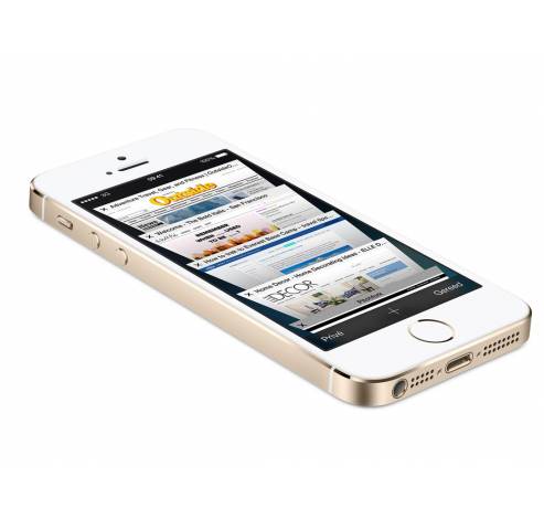 West milieu Chemicus IPhone 5S 16GB Gold (ME434NF/A)