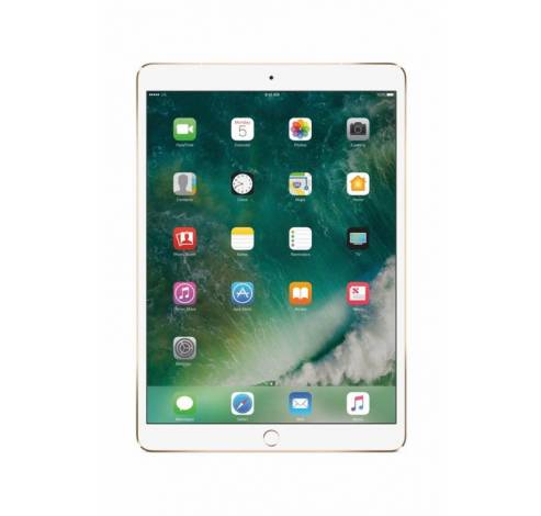 iPad Pro 10,5-inch Wi-Fi + Cellular 256GB Goud  Apple
