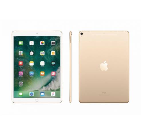 10,5-inch iPad Pro 512GB (WiFi + Cellular) - Goud  Apple