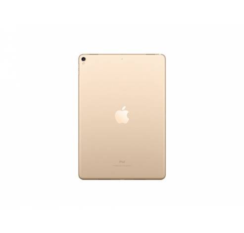 iPad Pro 10,5-inch Wi-Fi 64GB Goud  Apple
