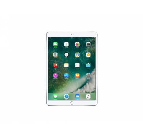 iPad Pro 12,9-inch Wi-Fi 512GB Silver  Apple